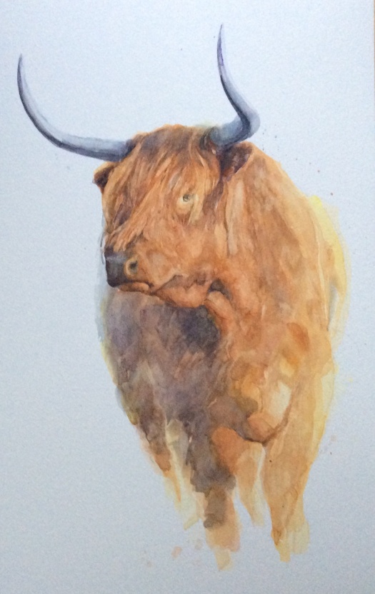 Highland beast watercolour SOLD